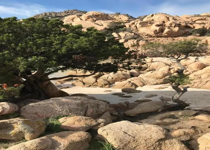 Appartement In Sardinia With Sea View *