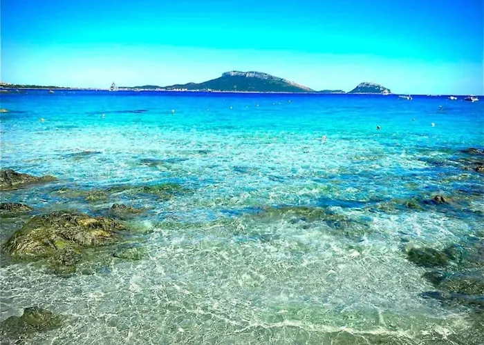 In Sardinia With Sea View Appartement