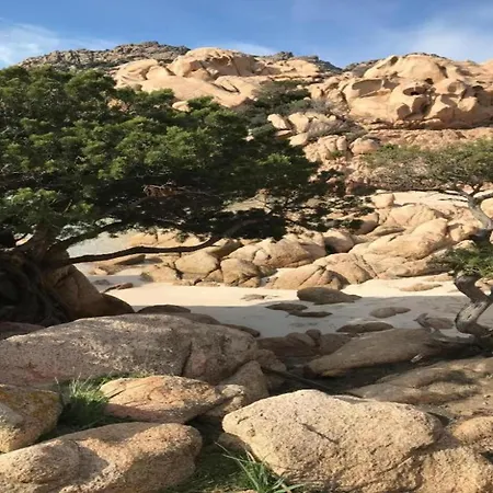 Apartman In Sardinia With Sea View *