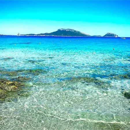 In Sardinia With Sea View Appartement